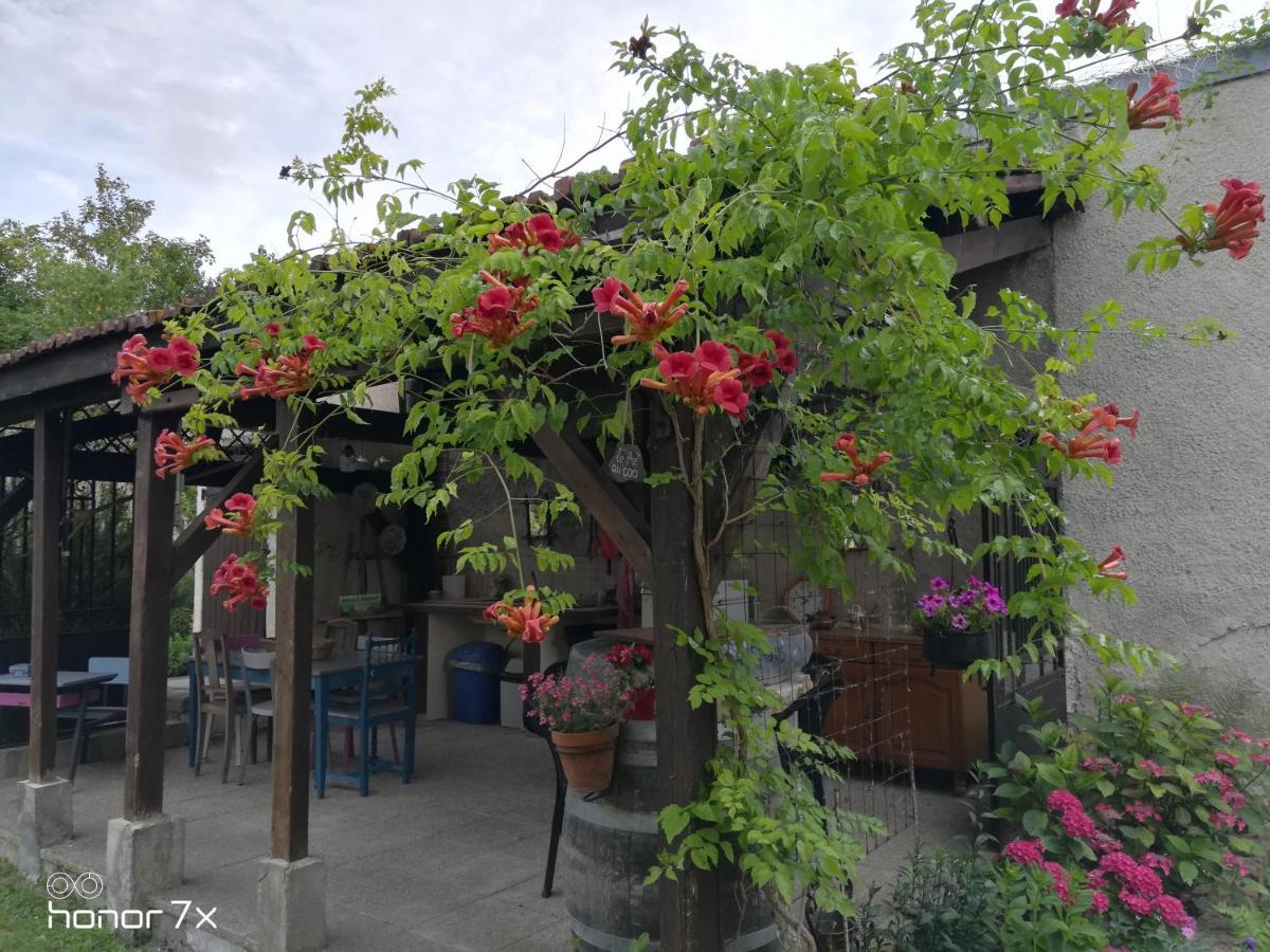 Bed and Breakfast Le Coq En Pate Romilly-sur-Seine Zewnętrze zdjęcie